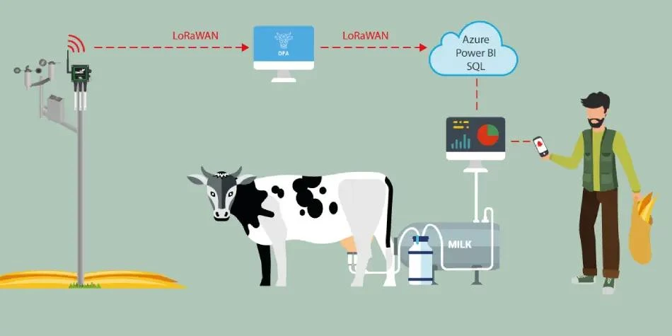active rfid for animal tracking active rfid for animal tracking